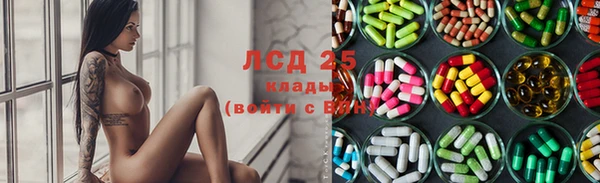 дживик Елабуга