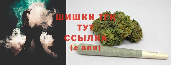 дживик Елизово