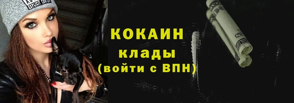 дживик Елизово
