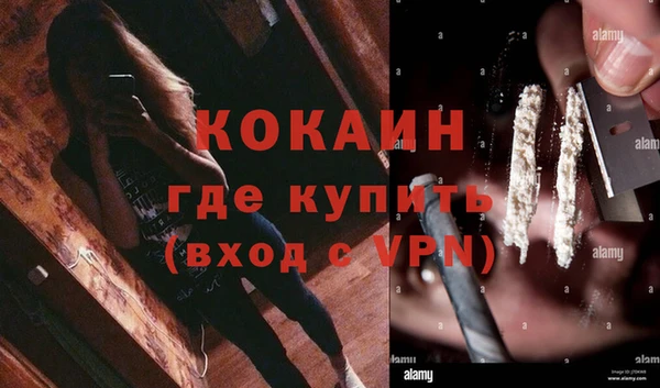 дживик Елизово