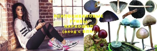 дживик Елабуга
