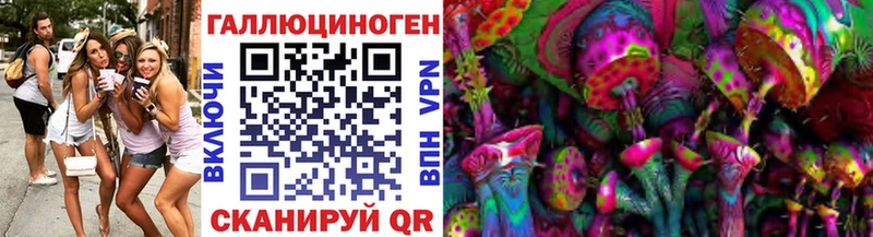 OMG ONION Поронайск Псилоцибиновые грибы Magic Shrooms